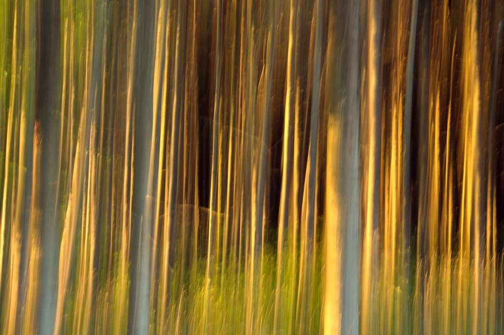 11. Platz Franz Müller